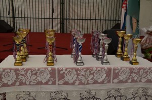 22. susreti umirovljenika