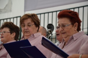 22. susreti umirovljenika 