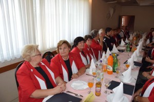 Dan starijih osoba 2016 