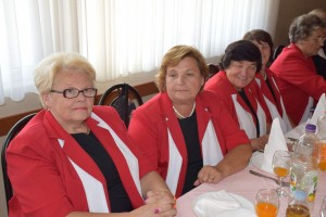 Dan starijih osoba 2016 