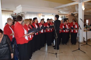 Dan starijih osoba 2016 (111)