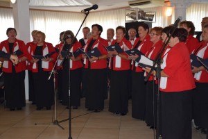 Dan starijih osoba 2016 (121)