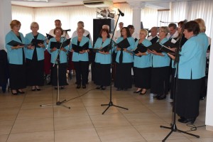 Dan starijih osoba 2016 (143)