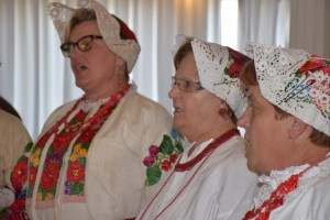 Dan starijih osoba 2016 (153)