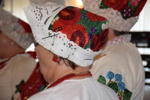 Dan starijih osoba 2016 (156)