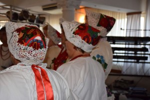 Dan starijih osoba 2016 (157)