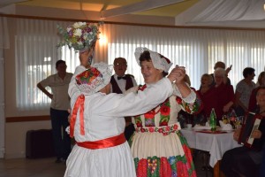 Dan starijih osoba 2016 (169)
