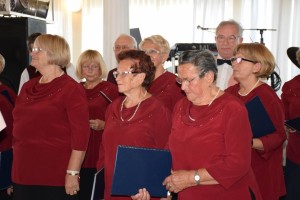 Dan starijih osoba 2016 (172)