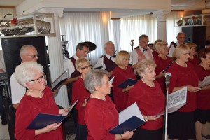 Dan starijih osoba 2016 (175)