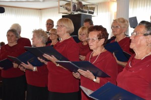 Dan starijih osoba 2016 (184)