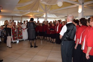 Dan starijih osoba 2016 (190)