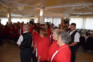 Dan starijih osoba 2016 (191)