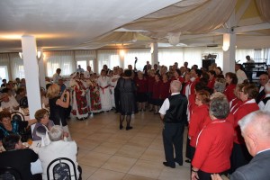 Dan starijih osoba 2016 (194)