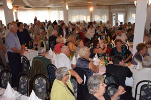 Dan starijih osoba 2016 (199)