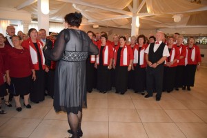 Dan starijih osoba 2016 (200)