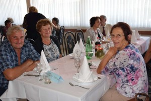 Dan starijih osoba 2016 (23)