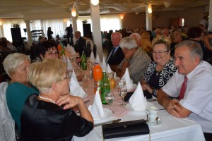 Dan starijih osoba 2016 (26)
