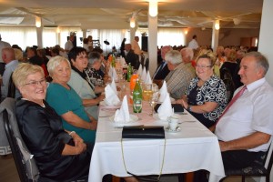 Dan starijih osoba 2016 (28)