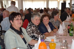 Dan starijih osoba 2016 (30)