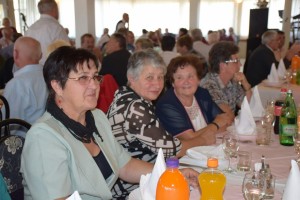 Dan starijih osoba 2016 (31)