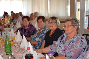 Dan starijih osoba 2016 (4)