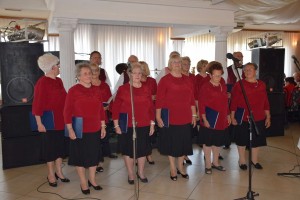 Dan starijih osoba 2016 (42)