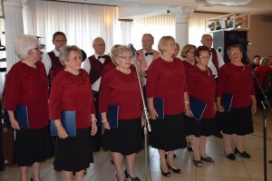 Dan starijih osoba 2016 (44)