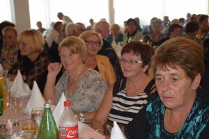 Dan starijih osoba 2016 (53)
