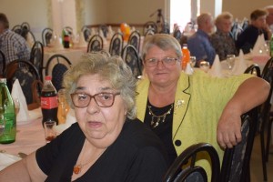 Dan starijih osoba 2016 (57)
