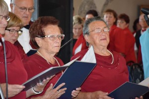 Dan starijih osoba 2016 (75)