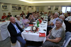Međunarodni dan starijih osoba (35)
