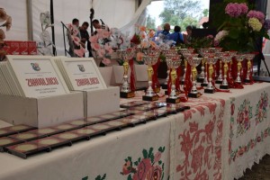 Županijski susret umirovljenika 16.06.2018 (13)