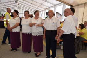 Županijski susret umirovljenika 16.06.2018 (14)