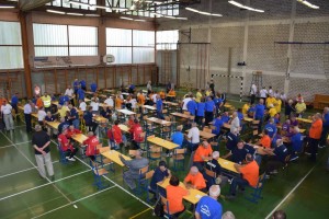 Županijski susret umirovljenika 16.06.2018 (143)