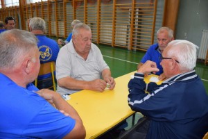 Županijski susret umirovljenika 16.06.2018 (165)