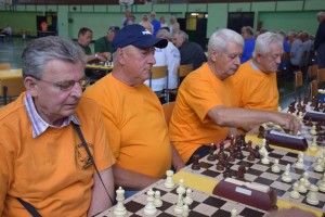 Županijski susret umirovljenika 16.06.2018 (179)