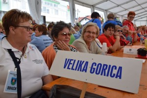 Županijski susret umirovljenika 16.06.2018 (18)