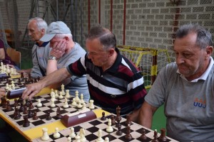 Županijski susret umirovljenika 16.06.2018 (180)