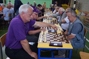Županijski susret umirovljenika 16.06.2018 (181)