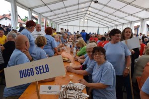 Županijski susret umirovljenika 16.06.2018 (19)