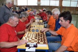 Županijski susret umirovljenika 16.06.2018 (190)