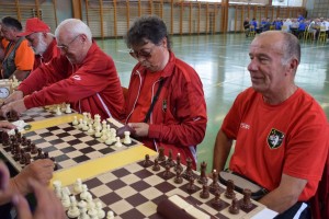 Županijski susret umirovljenika 16.06.2018 (193)