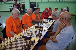 Županijski susret umirovljenika 16.06.2018 (196)