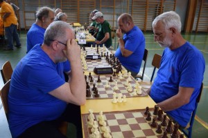 Županijski susret umirovljenika 16.06.2018 (197)