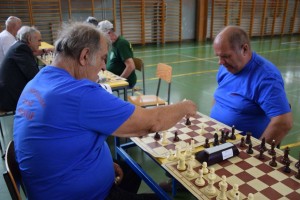 Županijski susret umirovljenika 16.06.2018 (198)