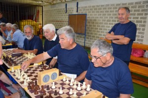 Županijski susret umirovljenika 16.06.2018 (204)