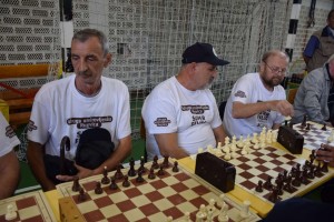 Županijski susret umirovljenika 16.06.2018 (205)