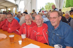 Županijski susret umirovljenika 16.06.2018 (21)