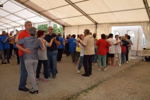 Županijski susret umirovljenika 16.06.2018 (212)
