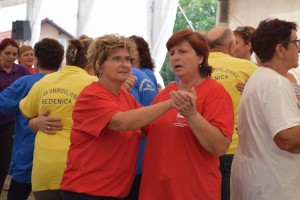 Županijski susret umirovljenika 16.06.2018 (216)